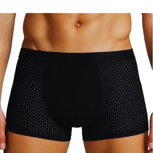 2PCS LOT MEN'S UNDERWEAR BOXER MEN ICE SILK MESH BOXERSHORTS
