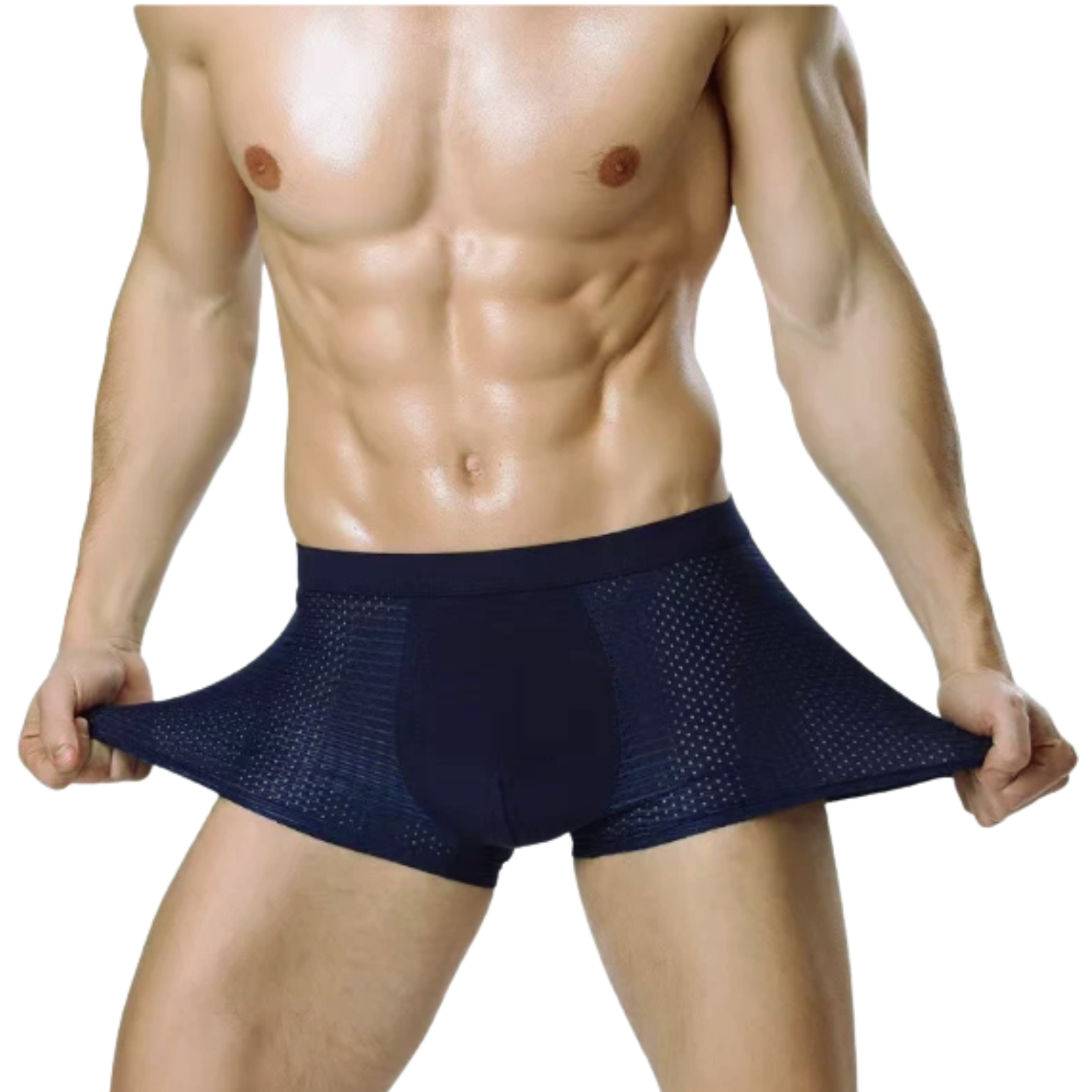 4PCS LOT MEN'S UNDERWEAR BOXER MEN ICE SILK MESH BOXERSHORTS
